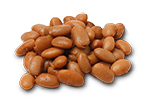 pinto beans